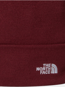Шапки и кепки The North Face модель NF0A5FW10VO1 Фото