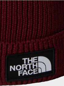 Шапки и кепки The North Face Logo Box модель NF0A8CHF0VO1 Фото