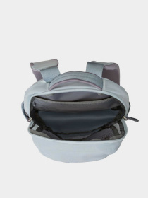Рюкзаки The North Face BOREALIS MINI BACKPACK модель NF0A52SWNKO1 Фото
