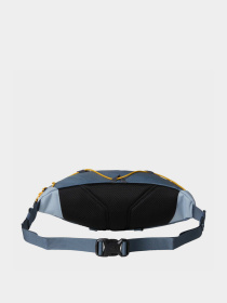 Сумки The North Face TERRA LUMBAR 3L модель NF0A81EONOV1 Фото
