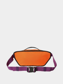 Сумки The North Face BOZER HIP PACK III - L модель NF0A52RW1S01 Фото