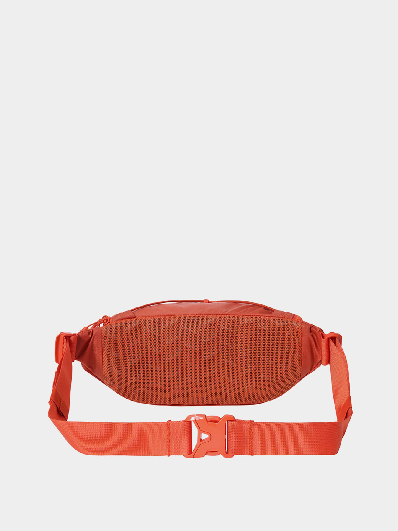 Сумки The North Face Lumbnical модель NF0A3S7Z26Z1 Фото