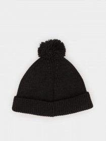 Шапки и кепки The North Face Littles Box Logo Pom Beanie модель NF0A4VSLJK31 Фото