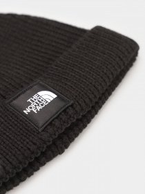 Шапки и кепки The North Face Littles Box Logo Pom Beanie модель NF0A4VSLJK31 Фото