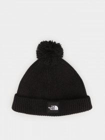 Шапки и кепки The North Face Littles Box Logo Pom Beanie модель NF0A4VSLJK31 Фото