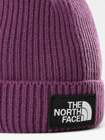 Шапки и кепки The North Face Youth TNF™ Logo Box Cuffed Beanie модель NF0A3FMV0H51 Фото