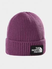 Шапки и кепки The North Face Youth TNF™ Logo Box Cuffed Beanie модель NF0A3FMV0H51 Фото