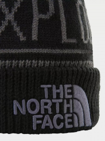 Шапки та кепки The North Face Retro TNF™ Pom Beanie модель NF0A3FMPF9L1 Фото