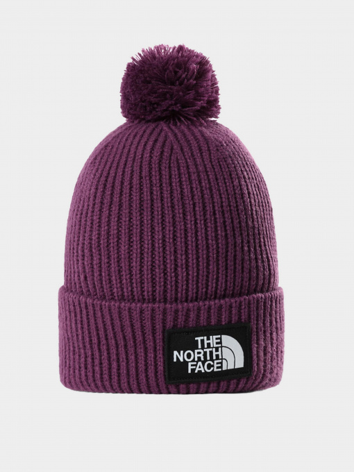Шапки и кепки The North Face Logo Box Pom Beanie модель NF0A3FN30H51 Фото