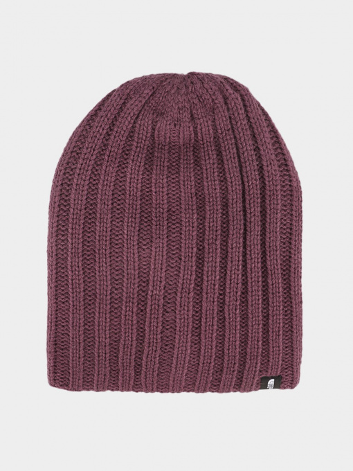 Шапки и кепки The North Face Shinsky Beanie модель NF0A4SHNNXE1 Фото