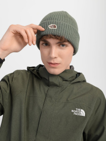 Шапки и кепки The North Face Salty Dog Beanie модель NF0A3FJWV1T1 Фото