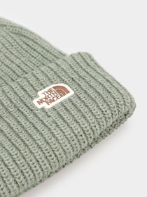 Шапки и кепки The North Face Salty Dog Beanie модель NF0A3FJWV1T1 Фото