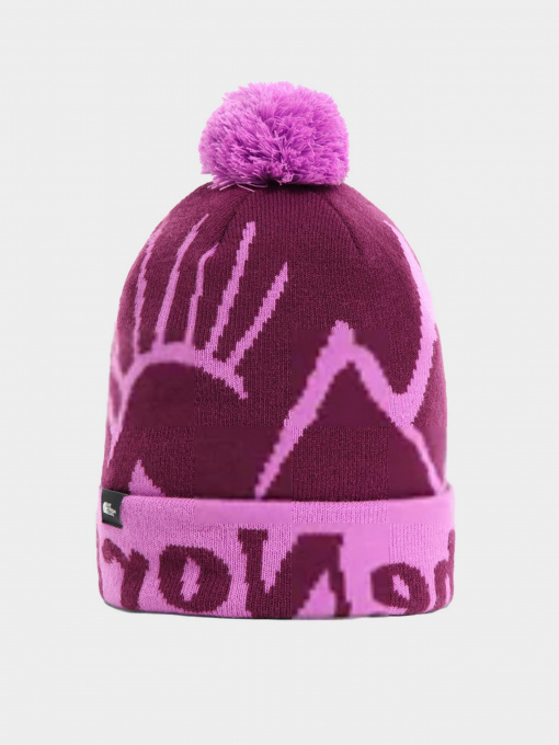 Шапки и кепки The North Face Kids' Ski Tuke Beanie модель NF0A4VSXEPK1 Фото