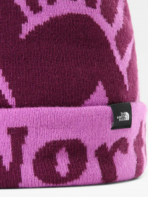 Шапки и кепки The North Face Kids' Ski Tuke Beanie модель NF0A4VSXEPK1 Фото