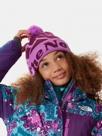 Шапки и кепки The North Face Kids' Ski Tuke Beanie модель NF0A4VSXEPK1 Фото