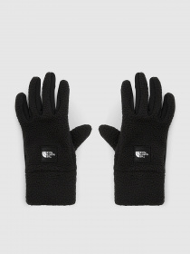 Перчатки и варежки The North Face Fleeski Etip модель NF0A3SJ4JK31 Фото