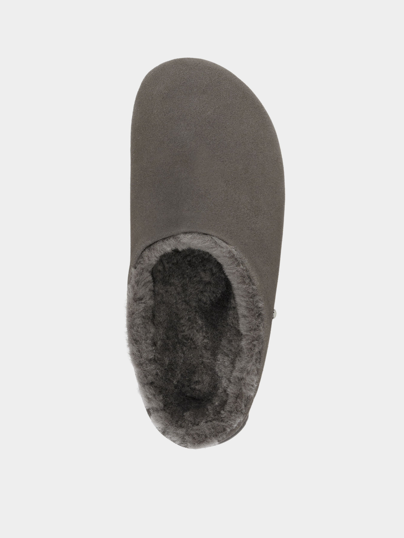 Капці EMU модель W12591-charcoal Фото