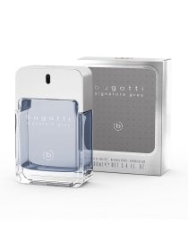 Bugatti Signature Grey 100ml E Bugatti модель 4051395402197 Фото