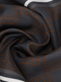 Шарфы и платки Zegna модель AC309308_Чорний Фото