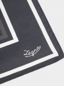 Шарфы и платки Zegna модель AC309308_Чорний Фото