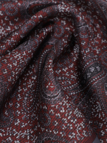 Шарфи та хустки Zegna модель AC311455_Темно-коричневий Фото