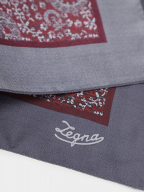 Шарфи та хустки Zegna модель AC311455_Темно-коричневий Фото