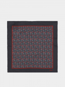 Шарфи та хустки Zegna модель AC311456_0 Фото