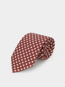 Галстуки и бабочки Zegna модель TI305815_Червоний Фото