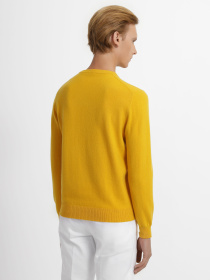 Светри та кардигани Zegna модель KN309413_Жовтий Фото