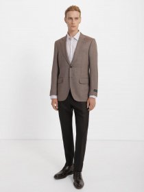 Штани Zegna модель TR313453_Коричневий Фото