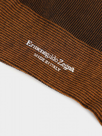 Шкарпетки та гольфи Zegna модель UN308835_Коричневий Фото