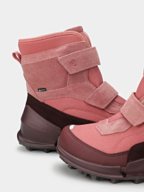Ботинки и сапоги ECCO Biom K2 модель 71120361043 Фото