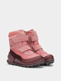 Ботинки и сапоги ECCO Biom K2 модель 71120261043 Фото