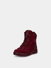 Ботинки и сапоги ECCO URBAN SNOWBOARDER модель 72236361359 Фото