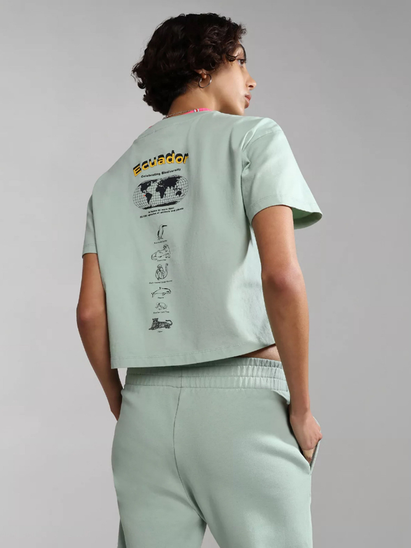 Футболки и поло Napapijri S-CHIRA CROP SS W модель NP0A4GYOG1E1 Футболки и поло Napapijri S-CHIRA CROP SS W модель NP0A4GYOG1E1 Фото