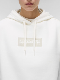 Худи и свитшоты Napapijri Box Logo модель NP0A4HYQ2061 Фото