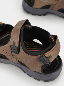 Сандалии ECCO OFFROAD M модель 82204402114 Фото