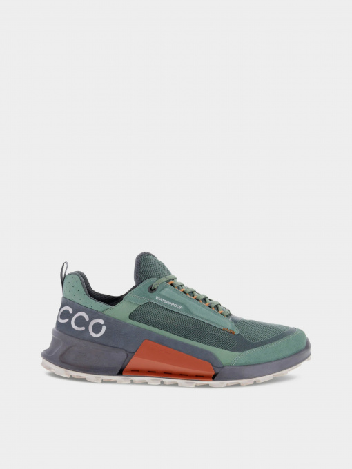 Кроссовки ECCO BIOM 2.1 x MOUNTAIN модель 82381460569 Фото
