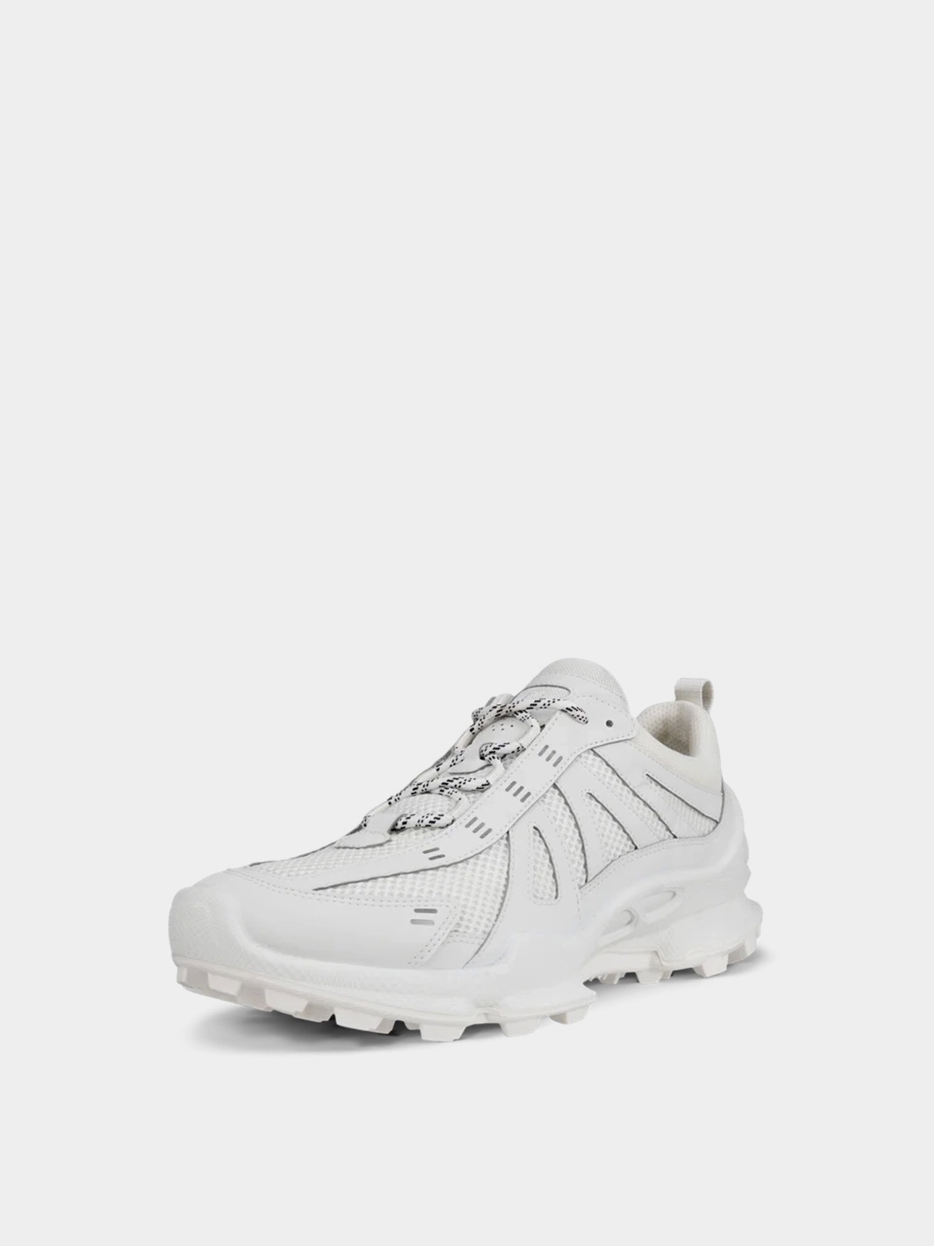 Кроссовки ECCO BIOM C-TRAIL M модель 80322450153 Фото