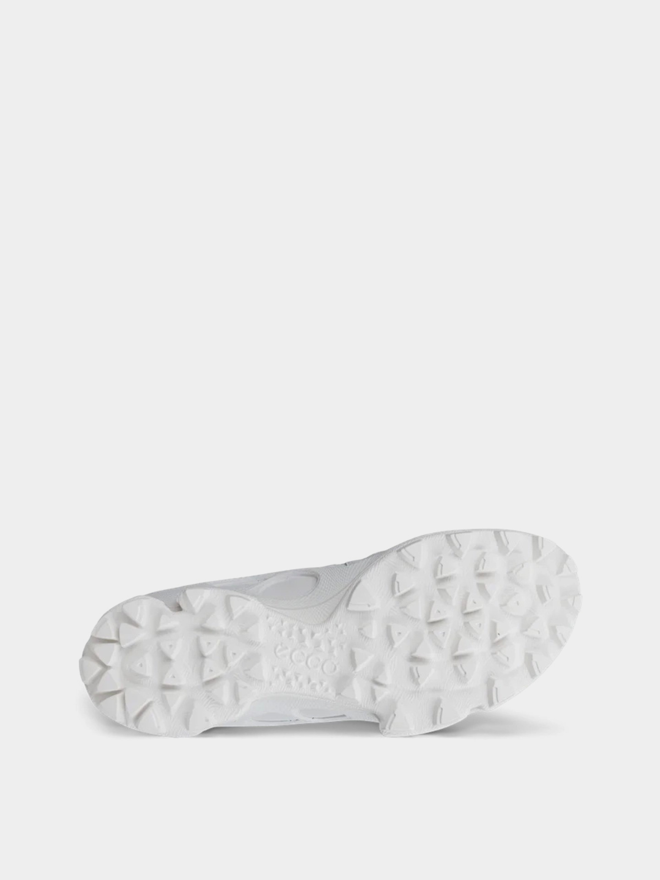Кроссовки ECCO BIOM C-TRAIL M модель 80322450153 Фото