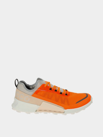 Кроссовки ECCO Biom 2.1 x Country модель 82280460893 Фото