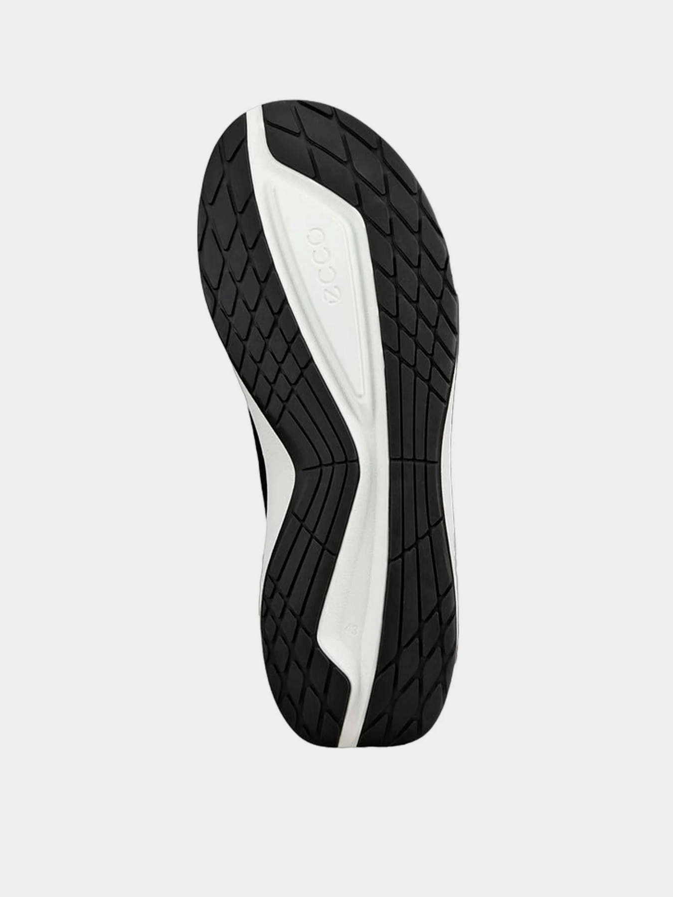 Кроссовки ECCO BIOM 2.2 M модель 83075400001 Фото