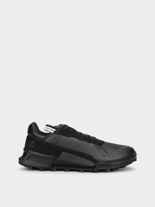 Кроссовки ECCO BIOM 2.1 X MOUNTAIN M модель 82387451052 Фото