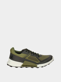 Кроссовки ECCO BIOM 2.1 X MOUNTAIN M модель 82389461182 Фото