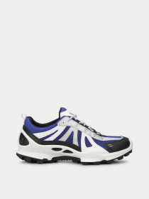 Кроссовки ECCO BIOM C-TRAIL M модель 80322461124 Фото