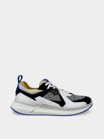 Кроссовки ECCO BIOM 2.2 M модель 83077461122 Фото