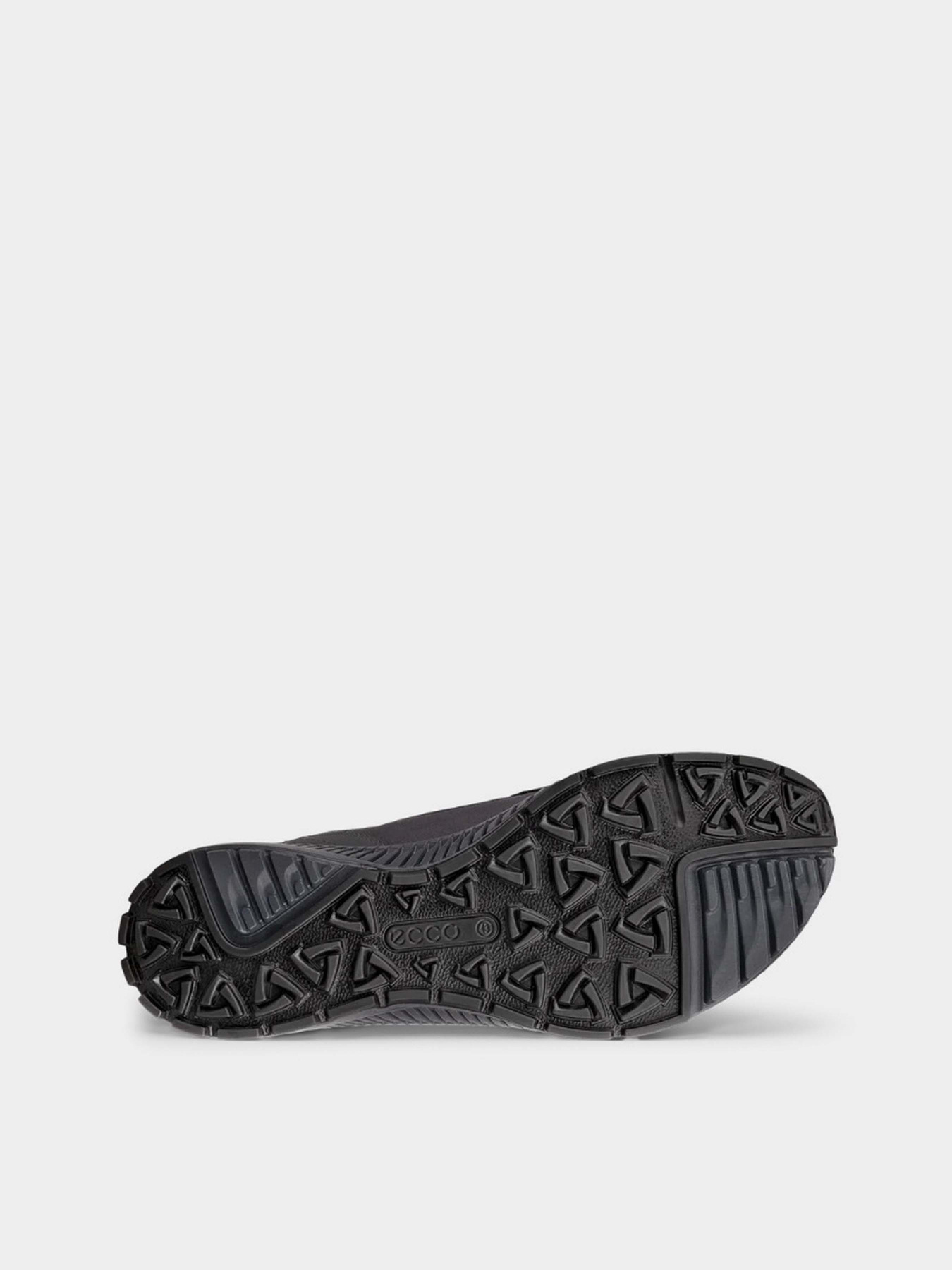 Кроссовки ECCO TERRACRUISE II M модель 84306450869 Фото