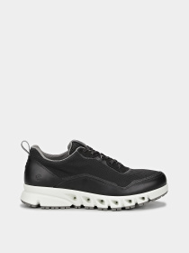 Кроссовки ECCO MULTI-VENT M модель 88028450582 Фото