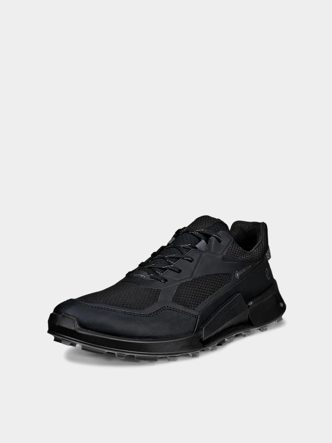 Кроссовки ECCO BIOM 2.1 X MOUNTAIN M модель 82392451094 Фото