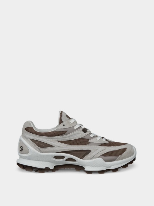 Кроссовки ECCO BIOM C-TRAIL M модель 80347461419 Фото